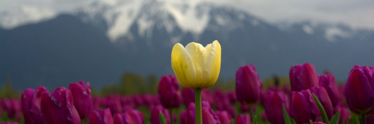 Yalnız Kalmanın Geliştiren Tarafları